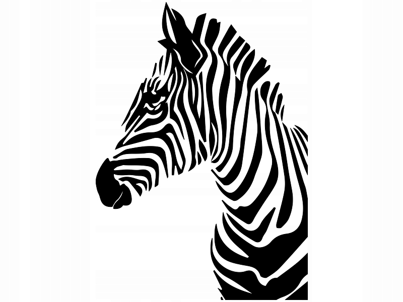 

Naklejka dekoracyjna na ścianę Zebra 100 cm