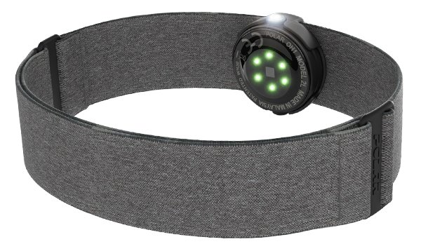 Polar Sensor Optyczny pomiar tętna OH1 Szary