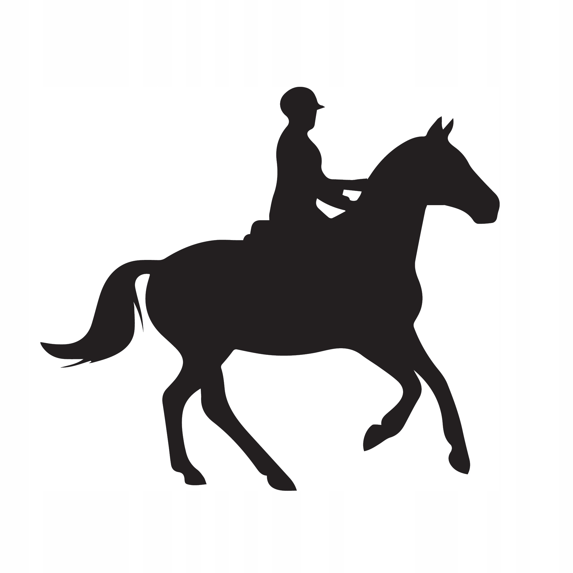 Naklejka KOŃ NA SAMOCHÓD konie HOBBY jeździectwo