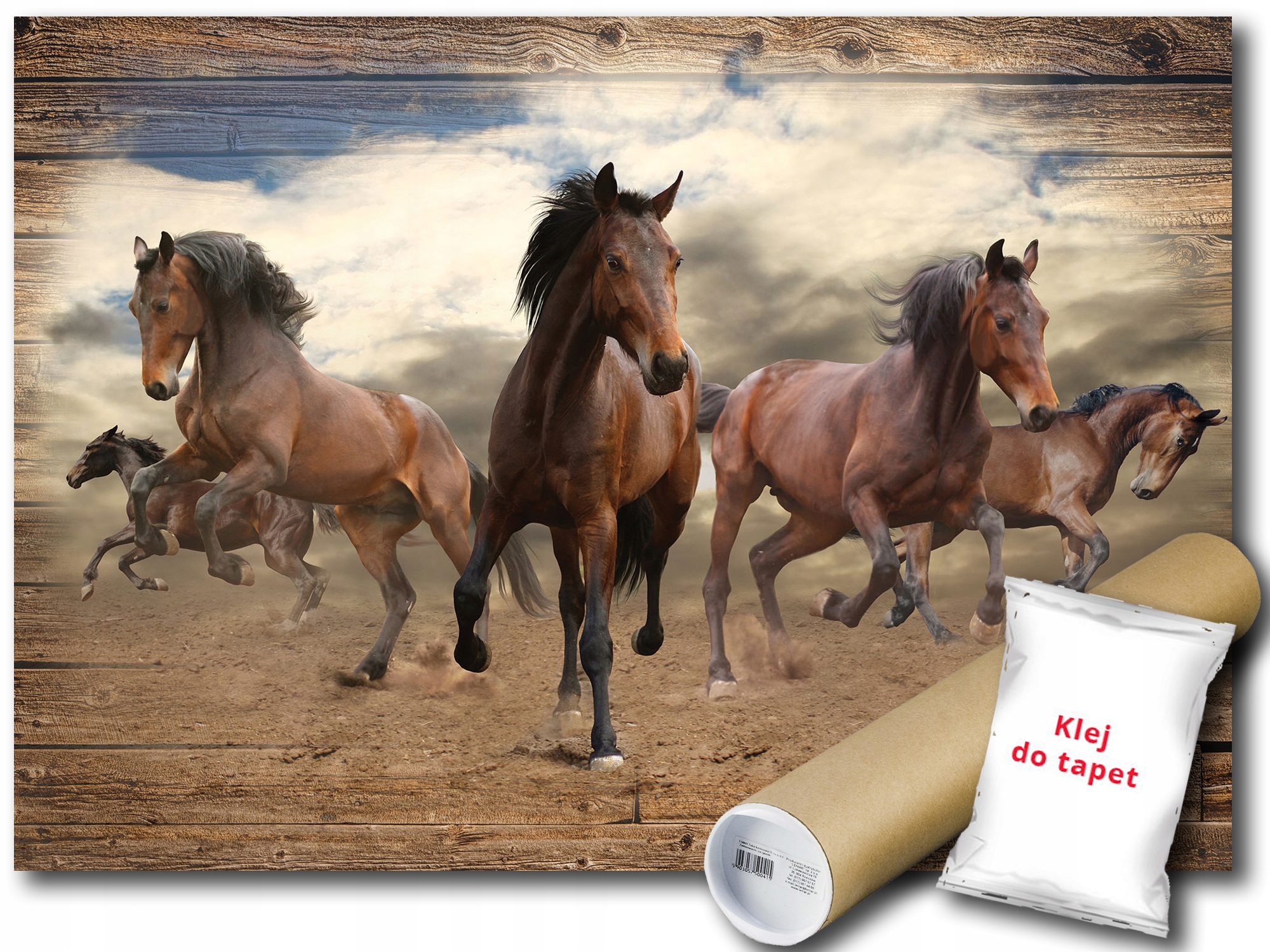 Fototapeta Kone Drevo 6C F4XL 416x290 F10083