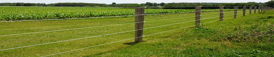 PASTUCH KONTROLER NAPIĘCIA TESTER PRÓBNIK LACME 10KV EAN (GTIN) 3415166603021