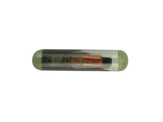 

Transponder Can ID48 Prekodowany Seat Immo Chip