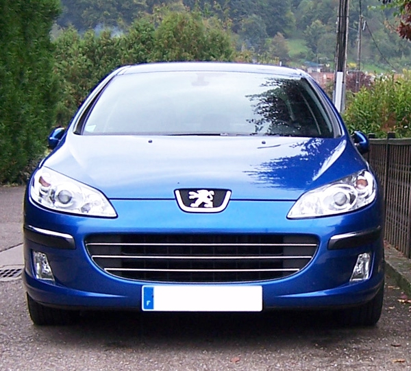 НАКЛАДКА ХРОМ  ХРОМОВАНА НА РЕШІТКА РАДІАТОРА PEUGEOT 407 Номер каталозі producenta 008765 foto 1