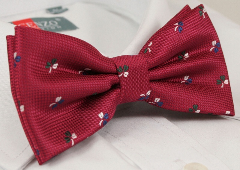 Modna mucha z poszetką - Alties Marka inna