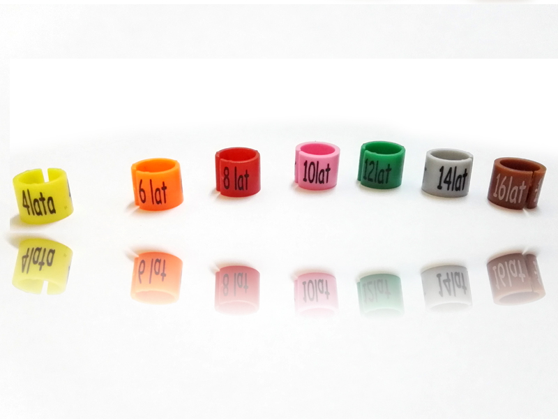 WIESZAKI KLAMROWE ŻABKI UBRANIOWE DZIECIĘCE 50szt. Kod producenta 5903678851644