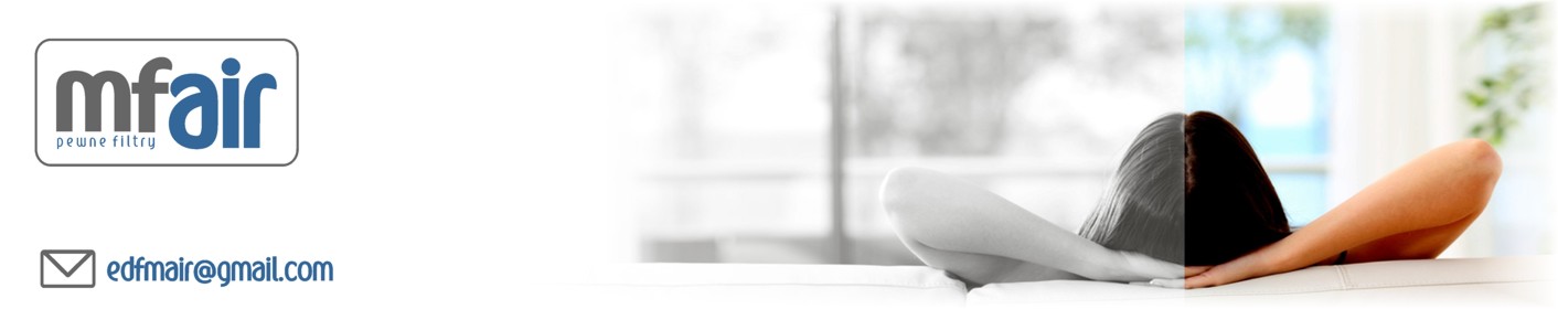 FILTR FILTRY ZESTAW F7 G4 BRINK RENOVENT EXCELLENT Rodzaj filtr