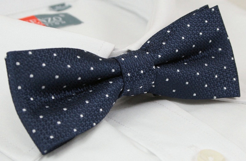 Modna mucha z poszetką - Alties Marka inna