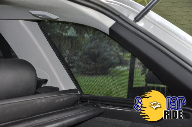 55607c6a49d49783446486034e3b