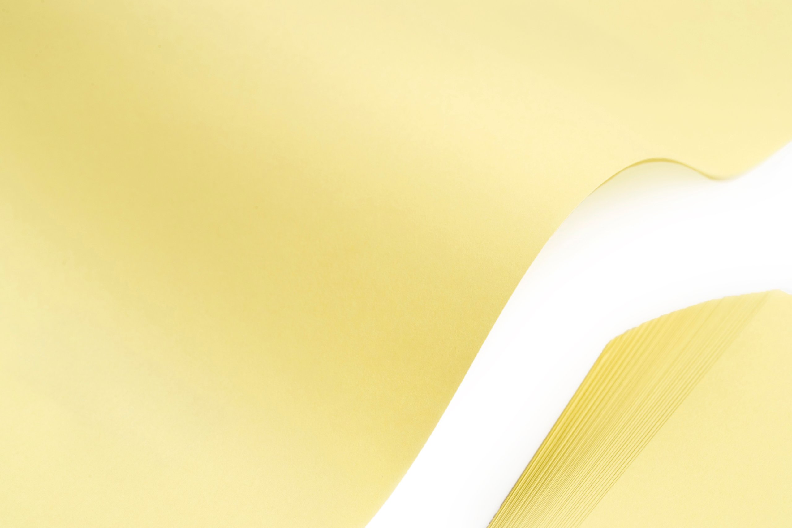 PAPIER KSERO XERO KOŚĆ SŁONIOWA 80g 50ark.