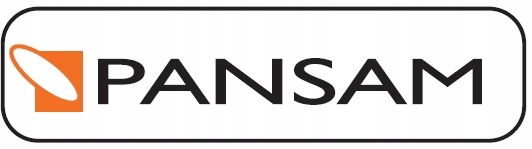 PANSAM Gwoździe Szpilki TYP300 dł. 40mm 5000szt EAN (GTIN) 5902628002648