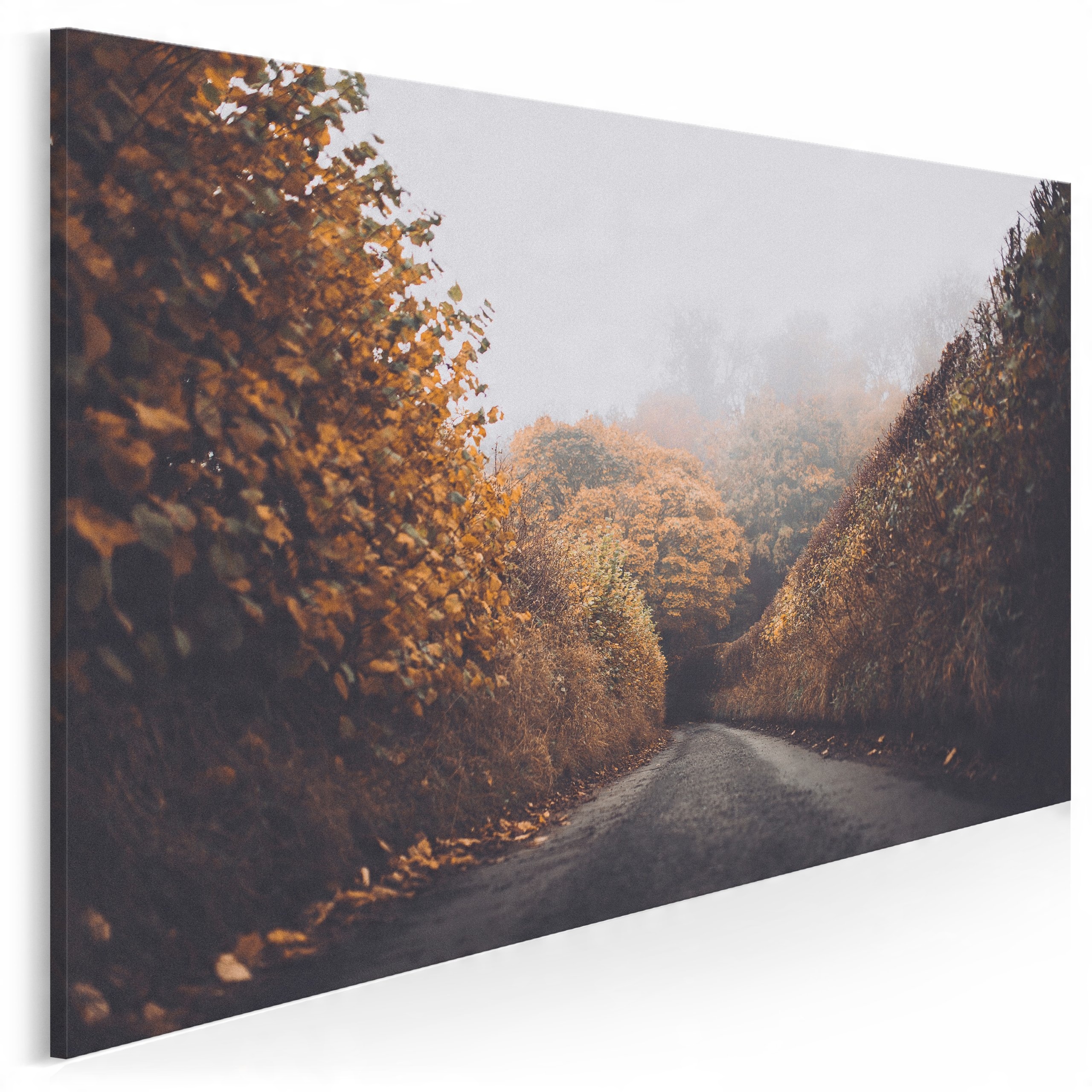 

920501 Fotografia na płótnie Park Jesień Pejzaż