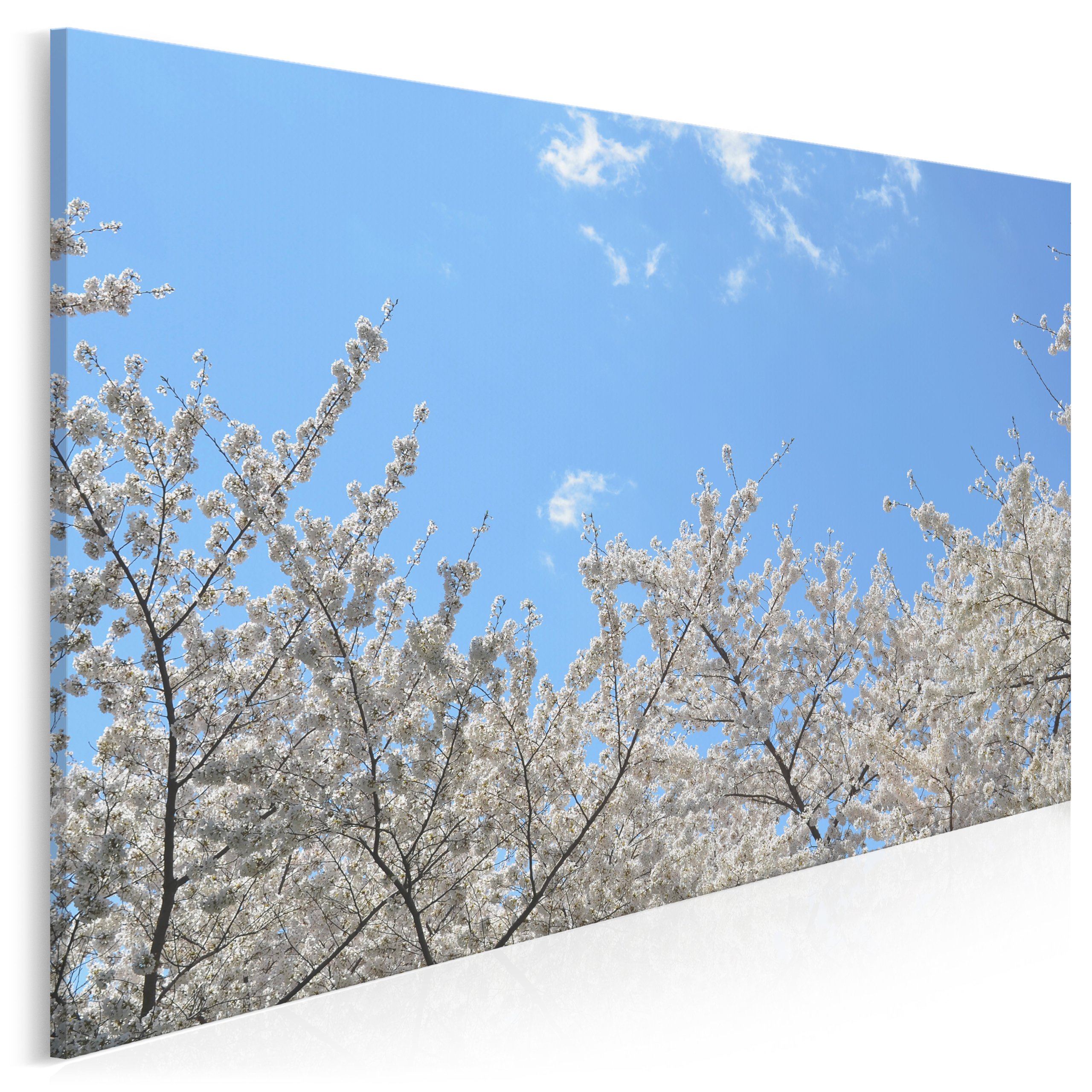 

924001 Zdjęcie na płótnie Drzewo Kwiaty Kremowy