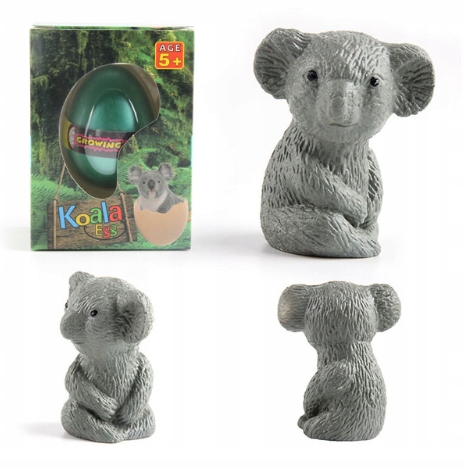 

Jajo Jajko Wykluwający Się Zwierzak Miś Koala