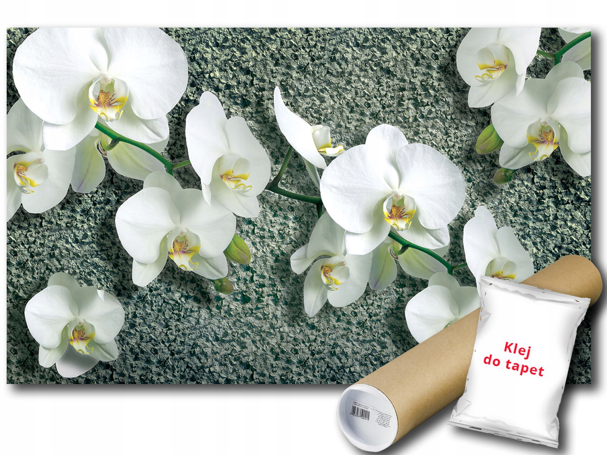 Fototapeta Orchidea Kvety 9D F3XL 416x254 F1016
