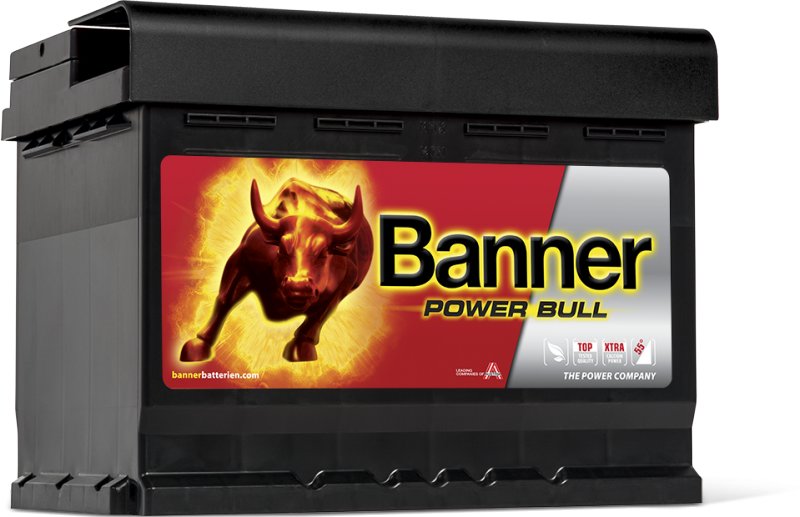 Акумулятор Banner Power Bull 12V 60Ah 540a P6009