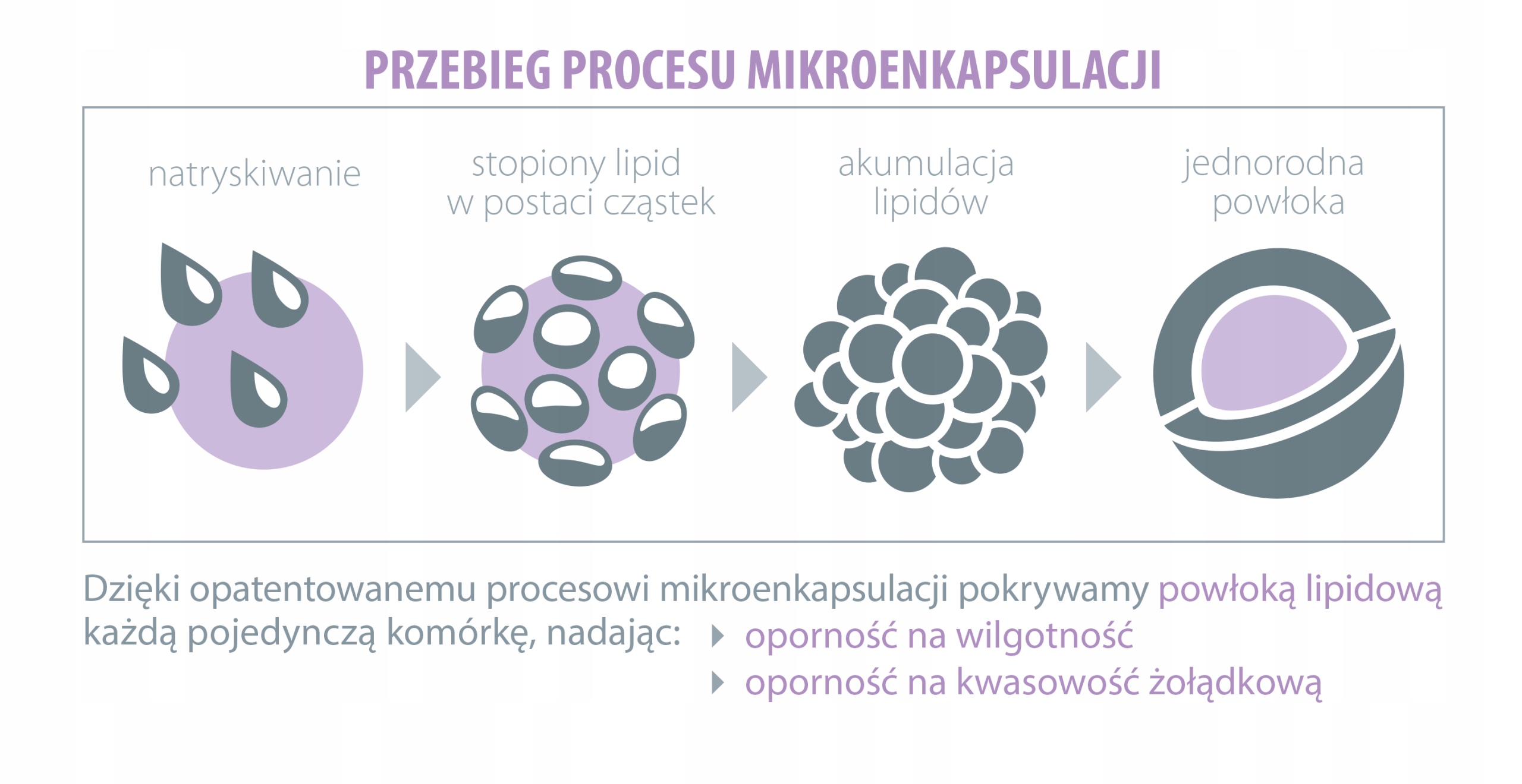 ALINESS Probiotyk PROBIOBALANCE Rhamnosus GG 5mld Liczba sztuk 30 szt.