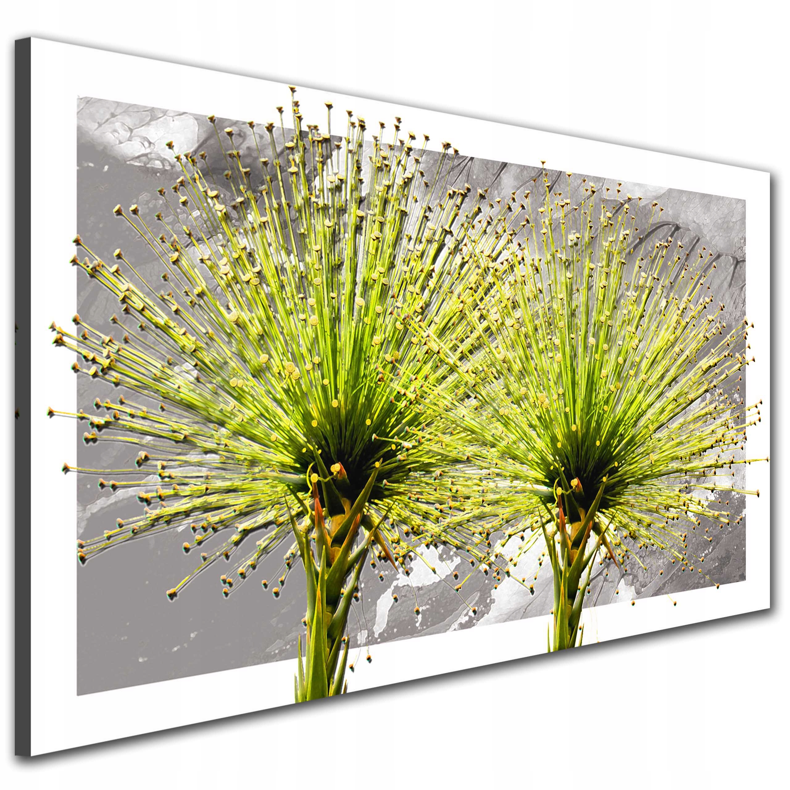 KWIAT DMUCHAWIEC 120x70 obraz do kuchni salonu na ścianę płótno