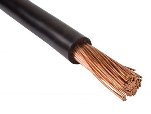 

Przewód jednożyłowy 2,5mm2 (czarny)