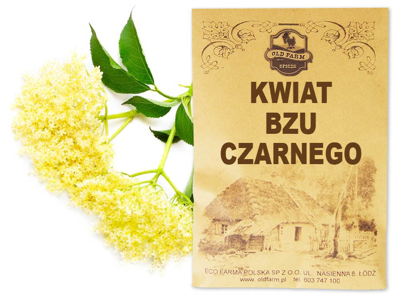 Bez Czarny Kwiaty 50 G Kwiat Bzu Czarnego Łódź