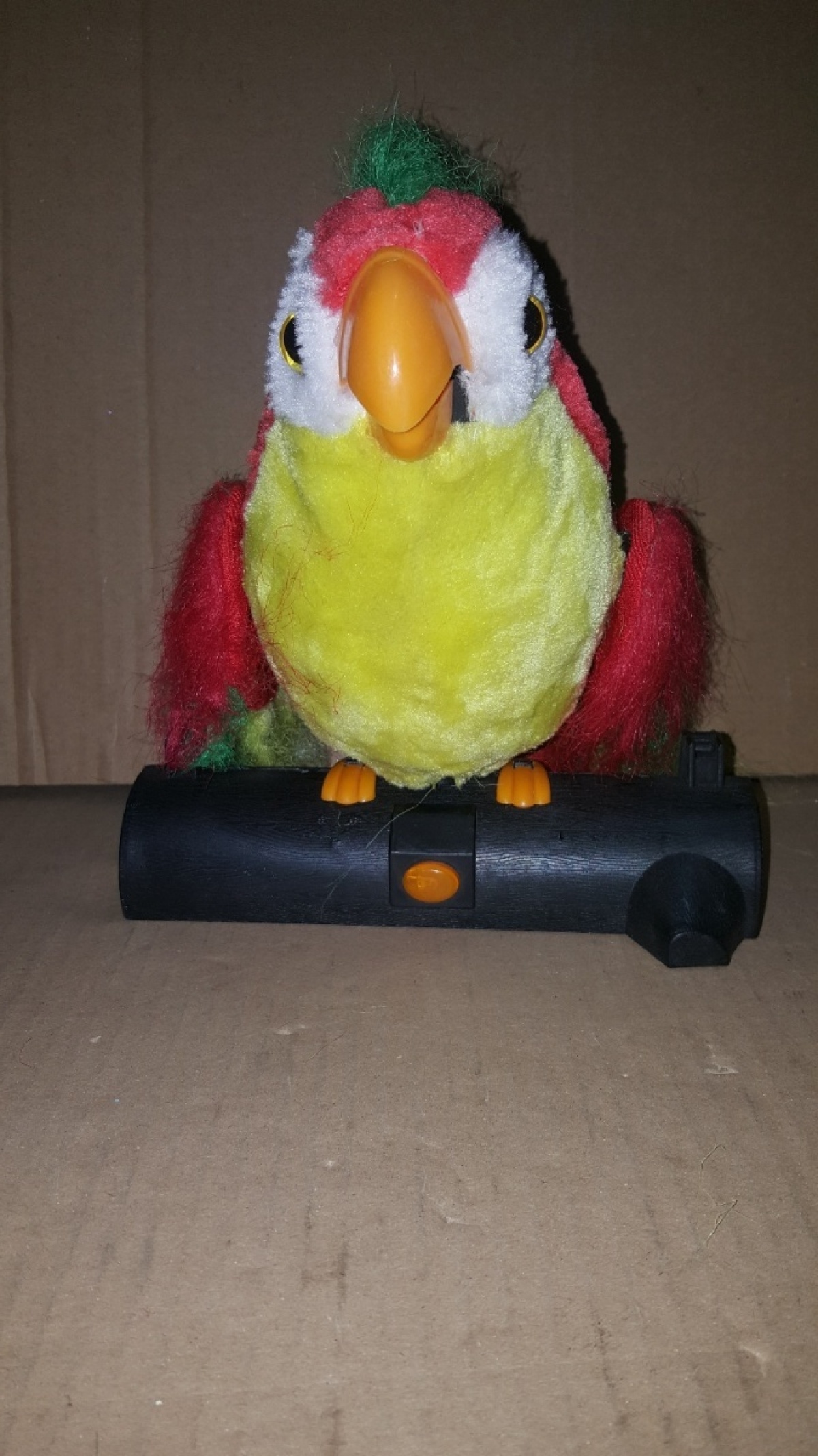 2 Papuga Maskotka Gadająca Powtarzająca Słowa 7211551512 2 Papuga Maskotka Gadająca Powtarzająca Słowa 7211551512
