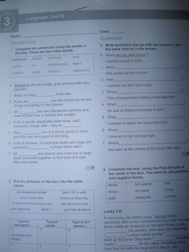 English Class A2.TESTY,SKILLSY,odpowiedzi! 7110513446 oficjalne