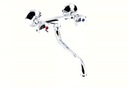 фото mini №5, 2x battery standard bathtub wall-mounted handle chrome b635