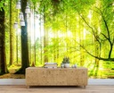 фото mini №3, Photo wallpaper 3-door las trees 208x146 f00678
