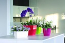 фото mini №2, Flowerpot prosperplast 28 centimeters x 28 x 26, 2 centimeters diameter 28 centimeters plastic white