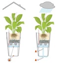 фото mini №11, Flowerpot lechuza cubico color 30 muszkat