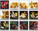 фото mini №7, Glass for kitchens 60x60 panel glass lacobel