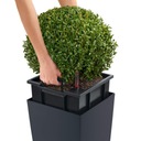 фото mini №3, Flowerpot plastic shades of brown 1 bezu lechuza 30 centimeters x 30 x 56 centimeters