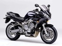 Yamaha fz6 fazer наполнение czachy защита сторона2, купить в Украине