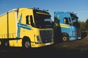 Наклейки наклейка volvo fh 12 13 16 krzyz6, купить недорого