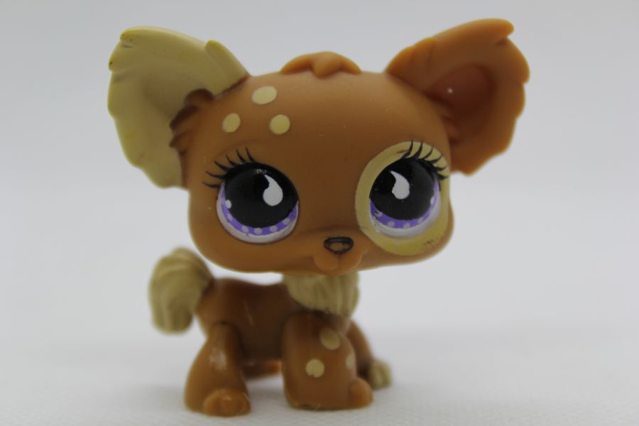 PIESEK CHIHUAHUA  FIGURKA  LPS LITTLEST PET SHOP
