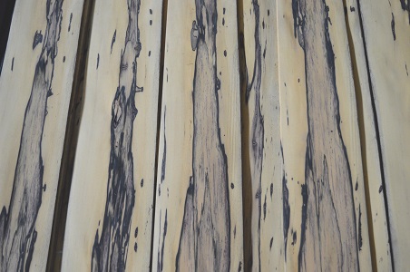 Fornir okleina heban biały 6,66m2 white ebony