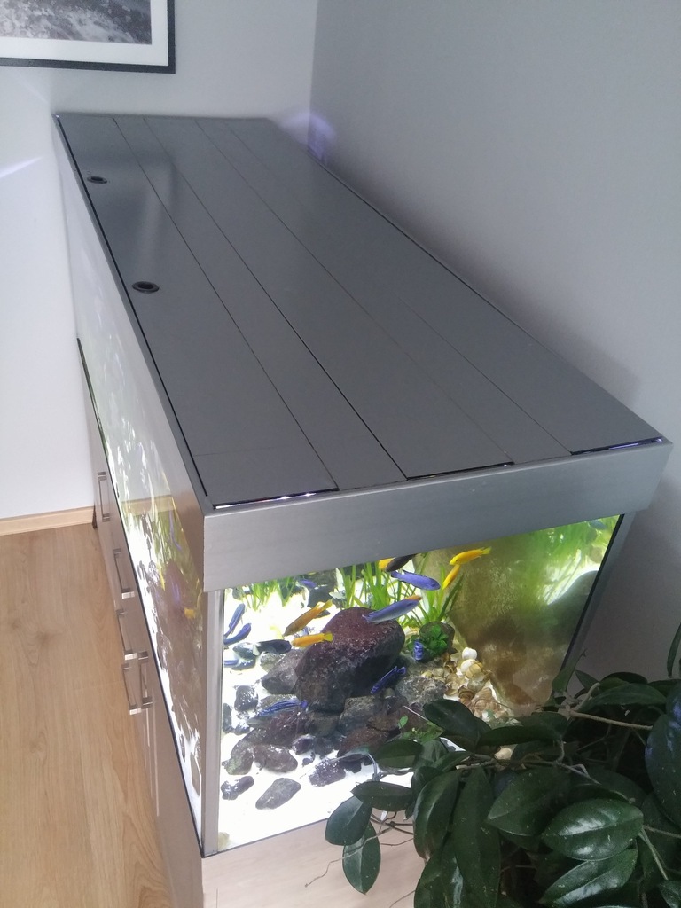 Do Akwarium Ktorego Dno Ma Wymiary 40 Cm 50 Cm Akwarium+szafka 550 l MALAWI z rybami - 7361258143 - oficjalne archiwum