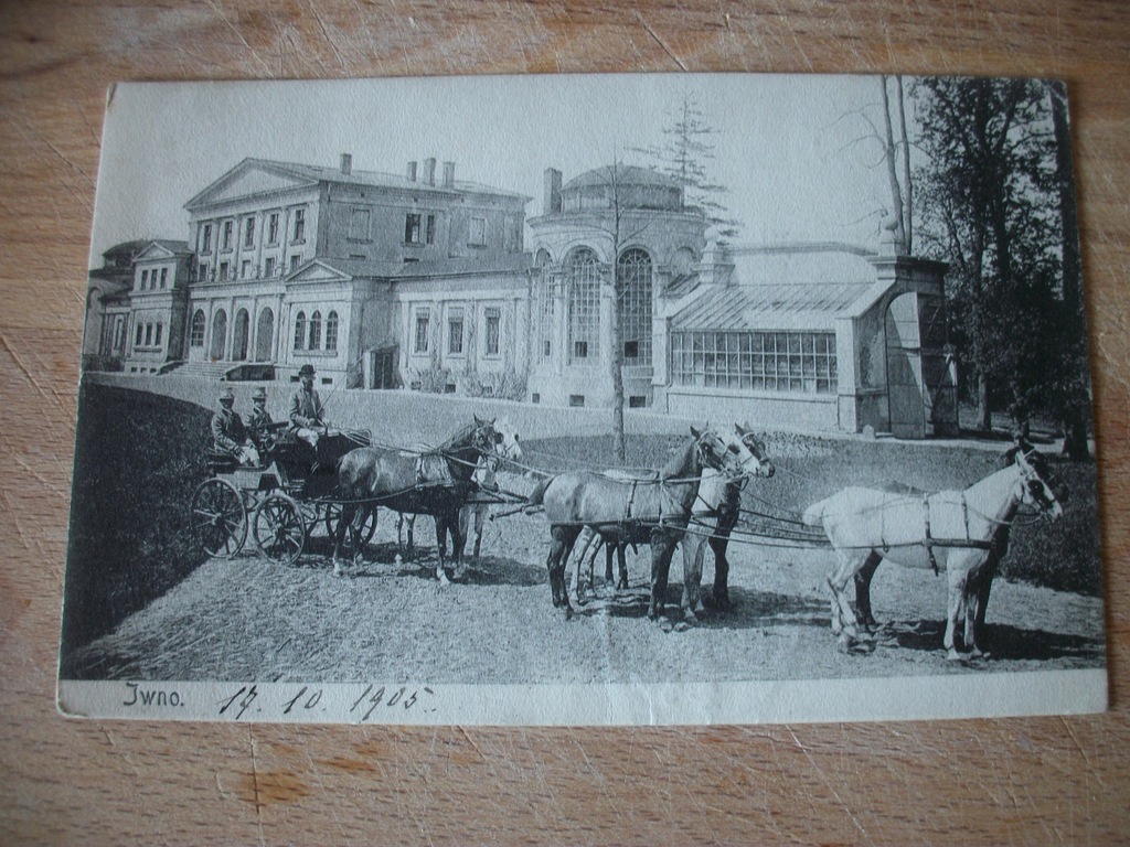 IWNO 1905 hrabia Ignacy Mielżyński Dworski zaprzeg