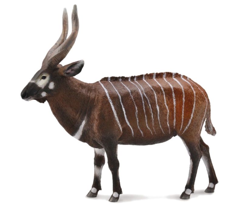 MC CollectA 88809 - Bongo leśne samiec antylopa