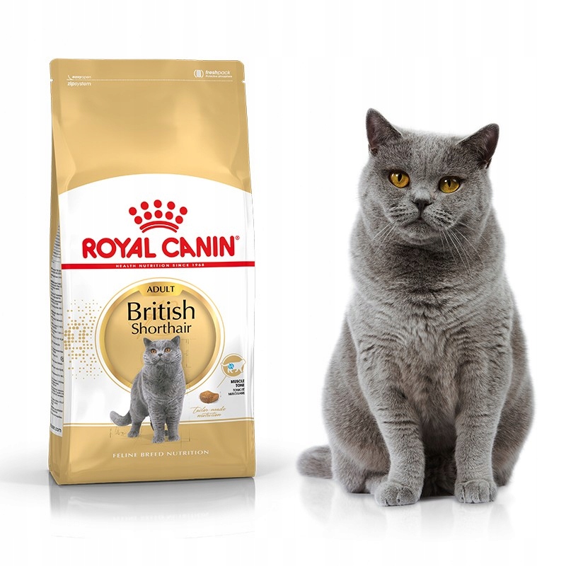 Karma kota Royal Canin British Shorthair 34 4kg