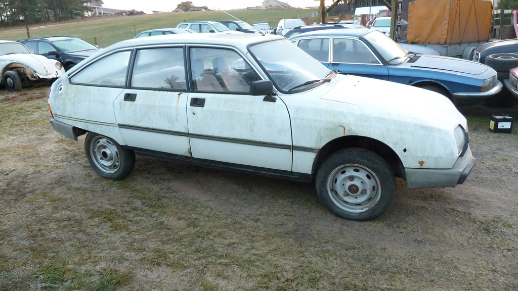 Citroen Gsa Pallas