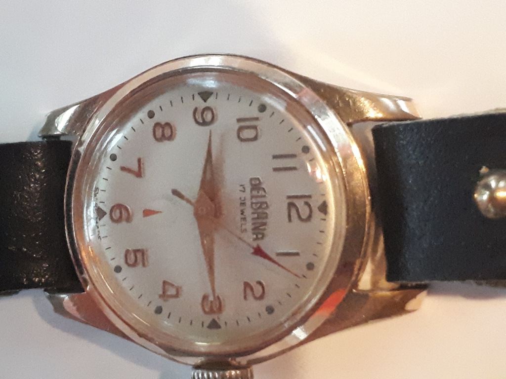 zegarek DELBANA 207374 damski  kolekcjonerski 