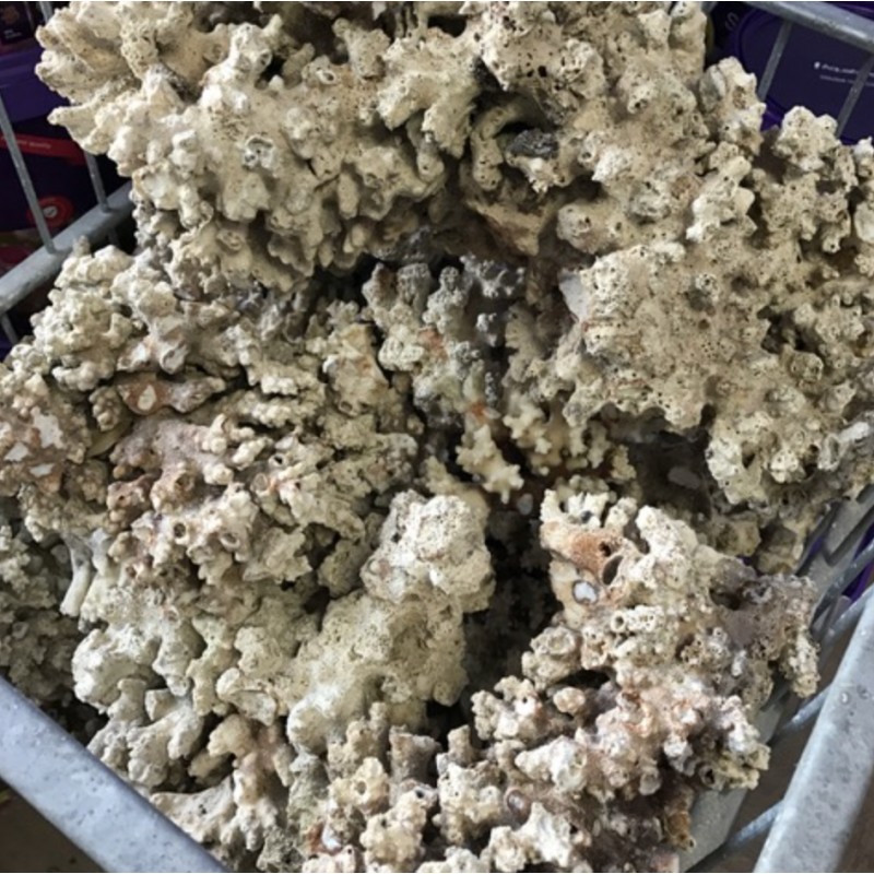 Sucha skała Fiji PUKANI 1kg, naRafie