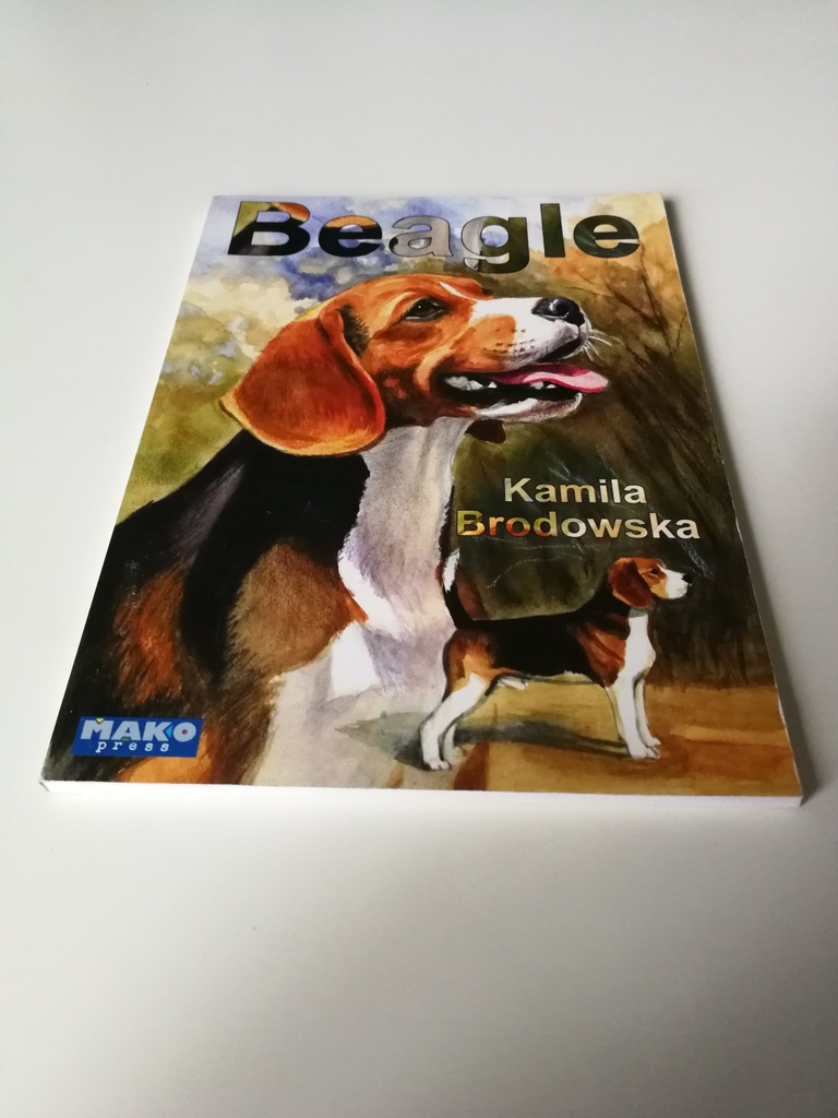 Beagle Kamila Brodowska