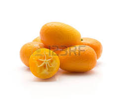 Kumquat Ovale Gigante - Duże Owoce - cytryna lima