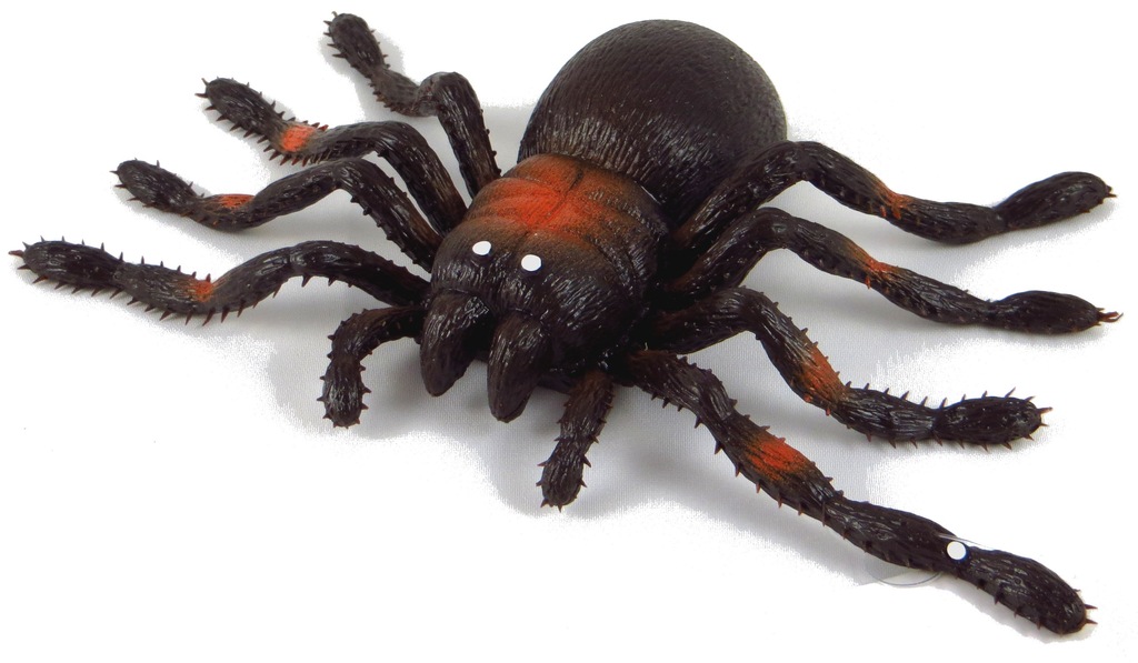 TARANTULA PAJĄK Z GROSZKIEM GUMOWY MIĘKKI 21 CM.