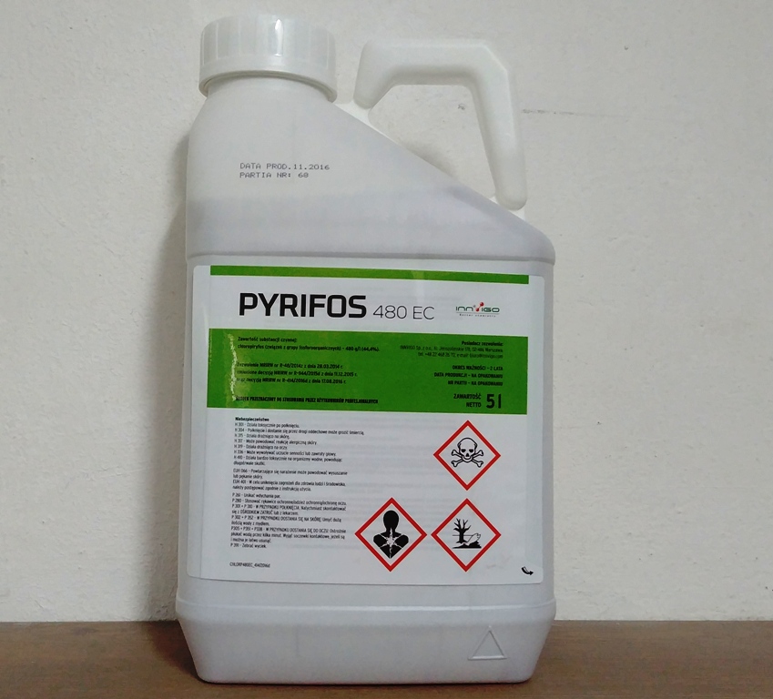 Pyrifos 480EC 5L Chloropiryfos dursban OWADOBÓJCZY