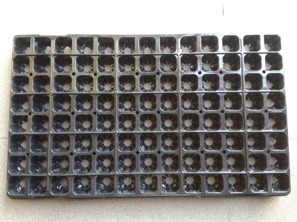 Multiplat 104 ot rozsada wielodoniczka paletka 50x