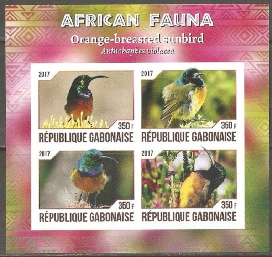 Ptaki (nektarnik przylądkowy), blok cięty - Gabon