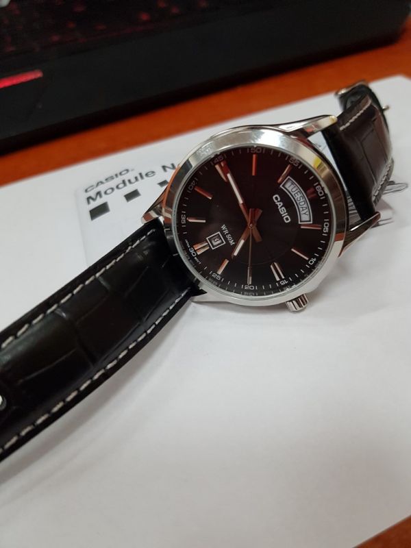 casio 1381