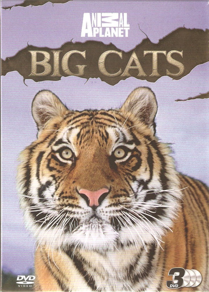 Animal Planet Big Cats Wielkie Koty 3 DVD ANG UK